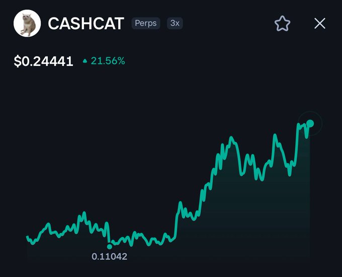 A crypto trading chart for CASHCAT (Perps, 3x leverage) showing a current price of $0.24441, up 21.56%, with a low of 0.11042 marked on the upward-trending green line.