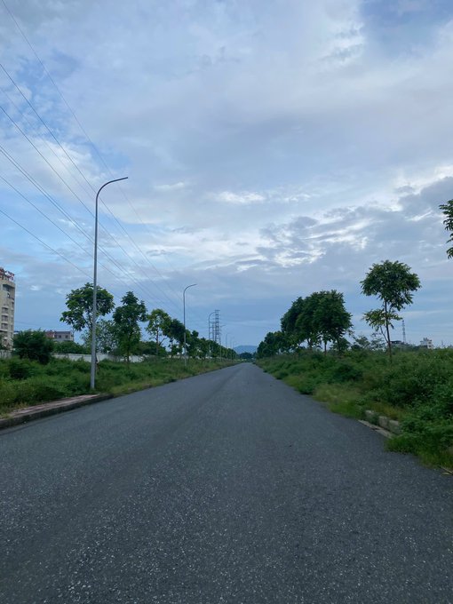 A scenic view down an empty paved road lined with young green trees and street lamps under a cloudy sky, with power lines visible in the distance.