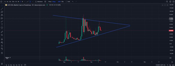 A TradingView 1-day candlestick chart of $CATE/USDT shows a symmetrical triangle pattern forming on the Binance market with price near $0.98, supporting the post's claim of a "beautiful HTF (higher timeframe) structure."