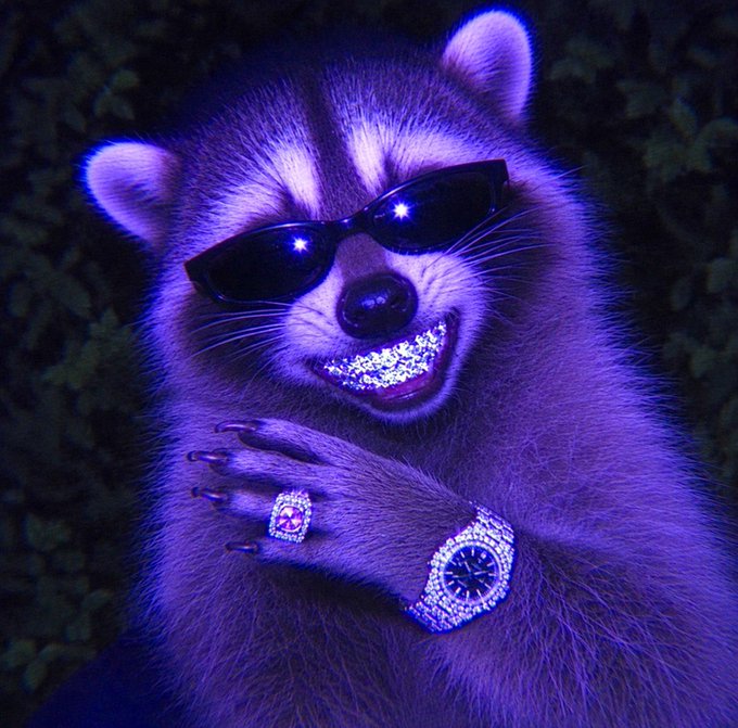 A surreal AI-generated image shows a raccoon with a glittery smile, wearing dark sunglasses, a diamond ring, and a diamond-encrusted watch, bathed in purple lighting.
