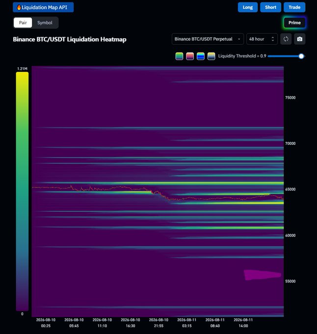 Screenshot of the Liquidation Map API showing the Binance BTC/USDT Liquidation Heatmap on a 48-hour timeframe, displaying liquidity levels around the 65,000 price point with timestamps from August 10-11, 2024.