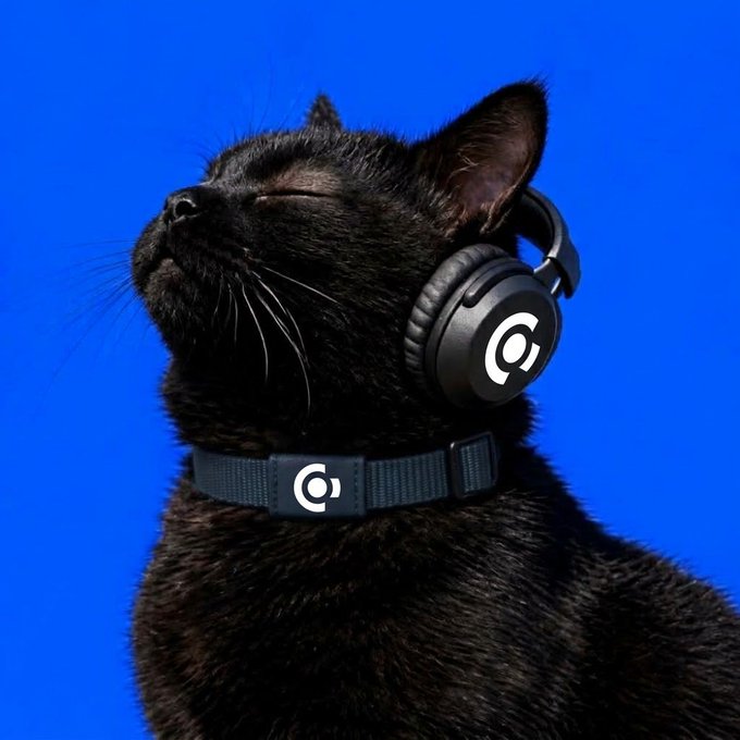 A black cat with its eyes closed wears black over-ear headphones with a circular logo and a matching collar against a bright blue background.