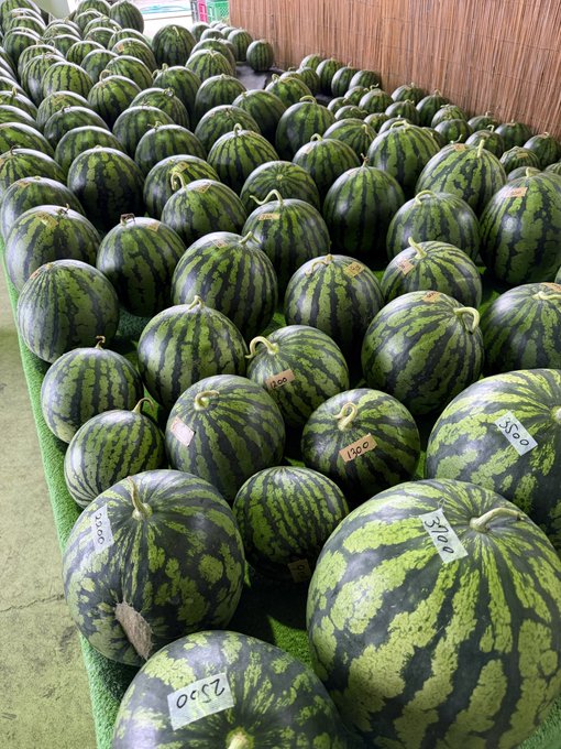 ids of watermelons