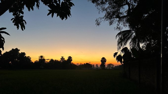 A landscape photograph shows a vibrant orange and yellow sunset on the horizon, silhouetted by dark trees and foliage in the foreground.