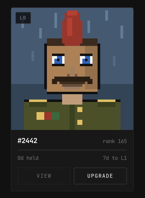 A pixel art character profile, labeled #2442 with rank 165. The character has brown skin, blue eyes, a mustache, a red mohawk, and wears a green military-style jacket with colorful ribbon bars, marked '0d held' with options to '7d to L1', 'VIEW', and 'UPgrade'.