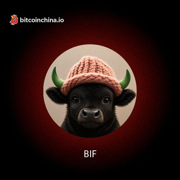 A black bull calf wearing a pink knit beanie with green horns is featured in a circular frame against a dark red background, with "bitcoinchina.io" in the top-left corner and the ticker "BIF" displayed below—promoting the new BIF/SOL trading pair listing for the $BIF project on Bitcoin China.