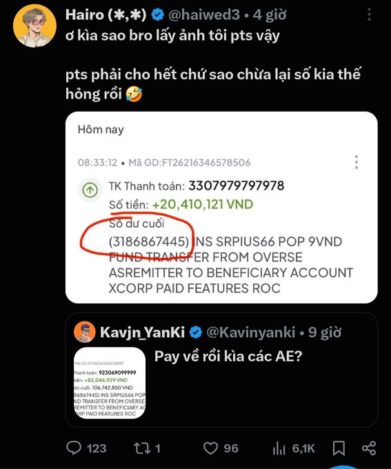A Vietnamese Twitter/X post by @haiwed3 showing a bank transaction notification with +20,410,121 VND received, with the closing balance of 318,686,7445 circled in red, criticizing someone named @Kavinyanki.