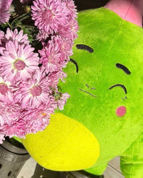 The image features a green stuffed dinosaur toy with black eyes and a pink nose holding a bouquet of pink flowers, such as daisies or carnations, which have been arranged in front of its face. The stuffed animal appears to be resting on someone's arm, creating an endearing scene. A caption accompanying the picture reads: "Good afternoon Sleepagotchi: The $6.5M Evolution @sleepagotchi confirms a $6.5 million cumulative funding total to accelerate its transition into an AI wellness layer."