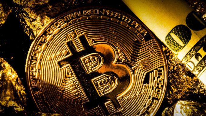 A golden Bitcoin coin rests among rocks and dollar bills, symbolizing cryptocurrency wealth. The image illustrates the post's discussion of Hong Kong's 0% tax policy on crypto profits, with the iconic Bitcoin "B" logo representing the digital currency at the center of the tax debate.