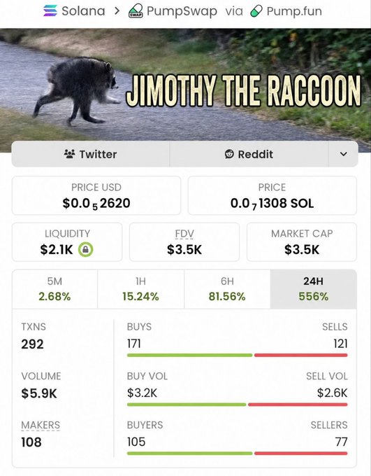 A screenshot of the Solana memecoin "$JIMOTHY THE RACCOON" displayed on a PumpSwap DEX interface via Pump.fun, showing key metrics including a current market cap of $3.5K, liquidity of $2.1K, and a 24-hour price gain of 556%. The image aligns with the post's claim of calling the token early, as it captures the $JIMOTHY token at its early stage with low market cap metrics.