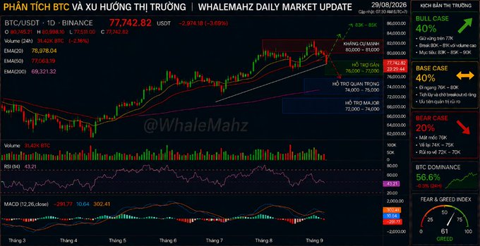 Vietnamese-language BTC/USDT trading chart titled "PHÂN TÍCH BTC VÀ XU HƯỚNG THỊ TRƯỜNG | WHALEMAHZ DAILY MARKET UPDATE" showing price at 77,742.82 USDT with bull/base/bear case scenarios.