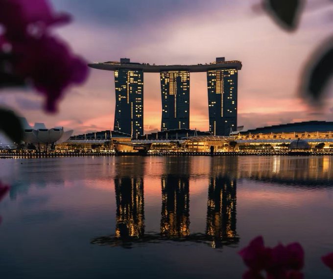 A stunning sunset view of the Marina Bay Sands hotel in Singapore, with its three towers and rooftop sky park reflected in the calm water below, framed by pink flowers in the foreground.