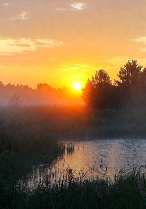 A sunset scene over a tranquil lake or pond, with the sun glowing brightly through mist and silhouetted trees reflecting on the water.