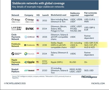 Information table titled 'Stablecoin networks with global coverage' listing key details for example networks including Bridge, Layer3 BNB, Circle, Fireblocks, Paxos, Ripple, and StrataXg Platform.