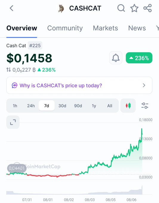 A CoinMarketCap screenshot shows CASHCAT (#225) trading at $0.1458, up 236% over the past 7 days, with the 7-day chart displaying a sharp upward trend beginning around 08/03. This aligns with the post's observation of a massive price surge, reinforcing the claim that the meme coin is making significant gains, though the post's "60%" figure understates the 236% weekly increase shown.