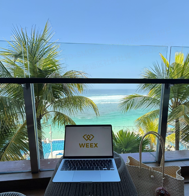 A laptop displaying the 'WEEX' logo sits on a balcony overlooking a bright turquoise ocean and palm trees, accompanied by a woven beach bag.