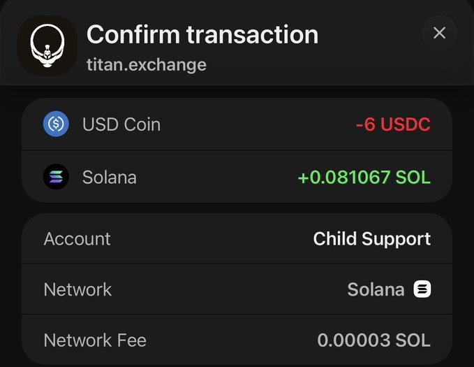 A crypto transaction confirmation on titan.exchange showing -6 USDC for +0.081067 SOL on the Solana network, labeled for 'Child Support'.