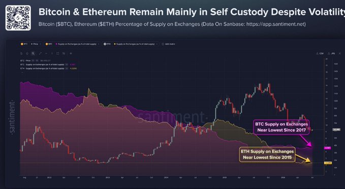 A chart titled 'Bitcoin & Ethereum Remain Mainly in Self Custody Despite Volatility' showing BTC and ETH supply on exchanges, with annotations noting 'BTC Supply on Exchanges Near Lowest Since 2017' and 'ETH Supply on Exchanges Near Lowest Since 2015.'