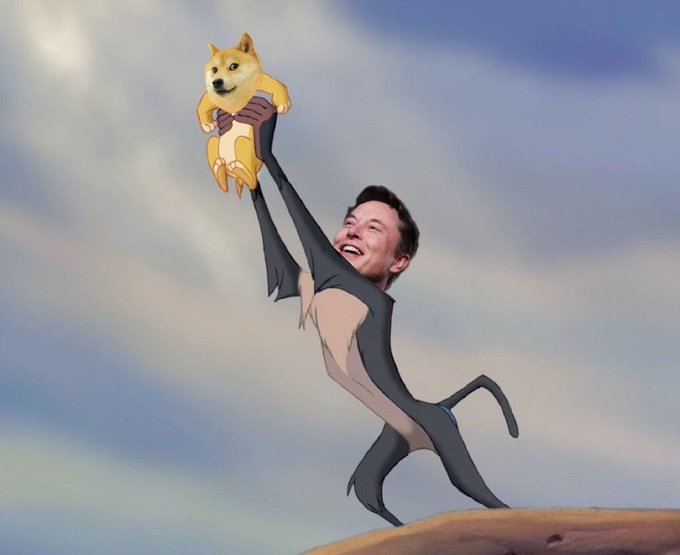 A digitally edited image shows Elon Musk's face superimposed on a Lion King-style body, holding up a Shiba Inu dog (representing Dogecoin) triumphantly against a cloudy sky.
