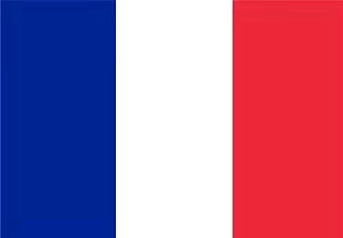 A flag with three vertical stripes of equal width in blue, white, and red, representing the French national flag (Drapeau tricolore).