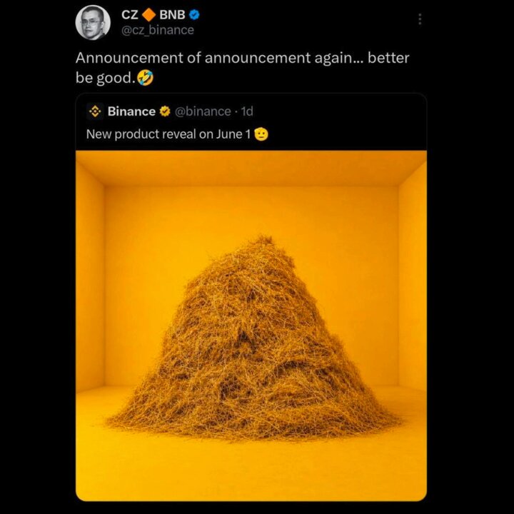 The image features a large pile of hay, possibly straw or grass, sitting atop a yellow wall. The text "Announcement of announcement again... better be good." appears above the hay stack, suggesting that there might have been an earlier announcement related to the hay and it has not yet been retracted or updated.