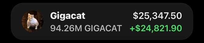 A crypto portfolio tracker shows 'Gigacat' with 94.26M GIGACAT holdings, valued at $25,347.50 with a gain of +$24,821.90.