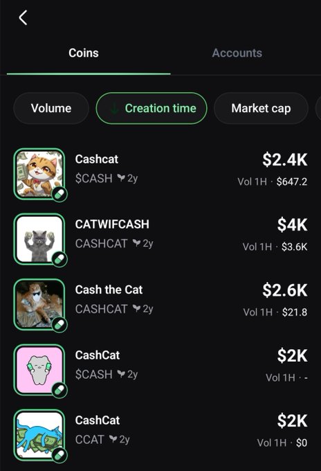 A cryptocurrency app interface showing cat-themed meme coins (Cashcat, CATWIFCASH, Cash the Cat, CashCat, CashCat) sorted by creation time, with prices ranging from $2K to $4K.