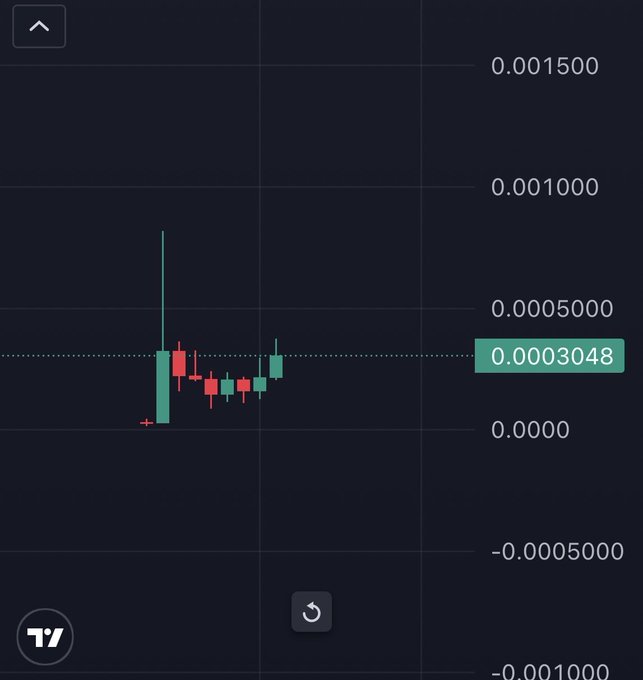A candlestick chart on a dark background displays the ticker "T/" with a current price of 0.0003048, showing a series of small red and green candles after an initial sharp upward spike, illustrating the volatile and uncertain price action referenced in the post's question.