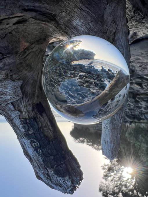 A surreal reflection captured in a clear crystal ball, showing a rocky landscape and tree branches, with the surrounding tree trunks mirrored in an inverted manner around the sphere.