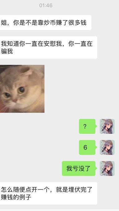A screenshot of a chat conversation in Chinese, where someone asks if she made a lot of money speculating, and she replies 'I lost it all' alongside a picture of a cat.