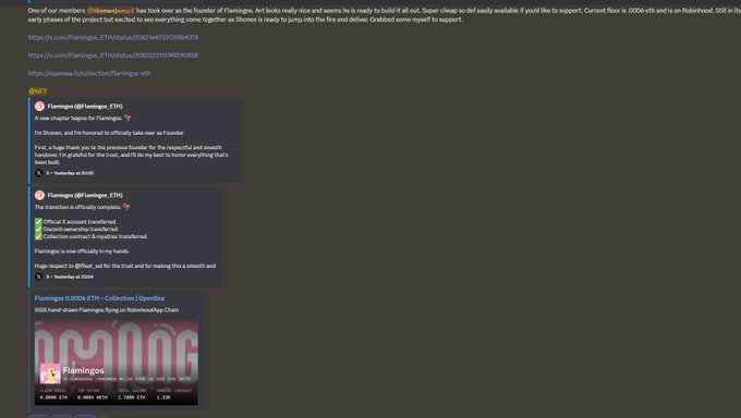 Telegram chat screenshots discussing the early stages of the Flamingo NFT project, led by Shohan with references to Rothschild & Co.