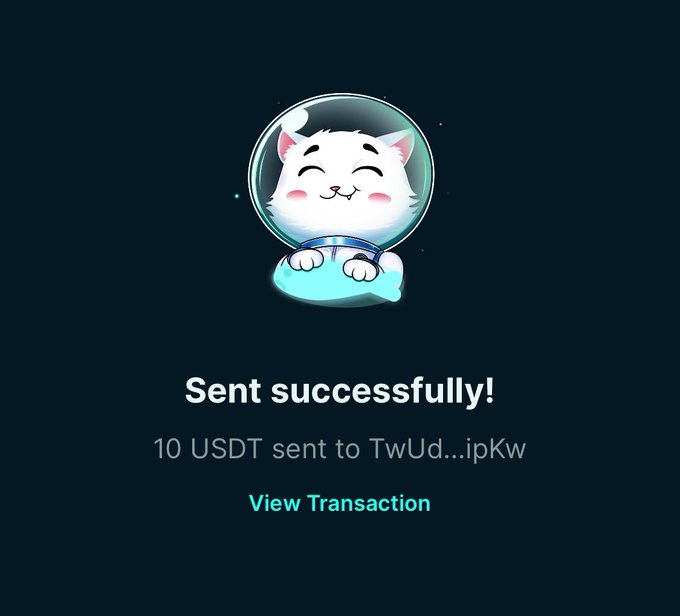 A digital transaction confirmation screen featuring a cartoon cat in an astronaut helmet, with the message '10 USDT sent to TwUd...ipKw' and a 'View Transaction' link.