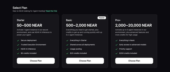 A pricing comparison chart displays three NEAR AI Agent Hosting plans—Starter ($50–500 NEAR), Basic ($500–2,000 NEAR, marked Popular), and Pro+ ($2,000–20,000 NEAR)—each offering varying credit amounts ($5, $20, and $200) and features like secure deployment, shared access, and priority support for using AI models.