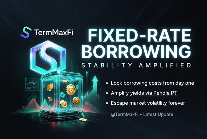 A promotional graphic for 'TermMaxFi' advertising 'FIXED-RATE BORROWING - STABILITY AMPLIFIED' with bullet points on locking borrowing costs and using Pendle PT.