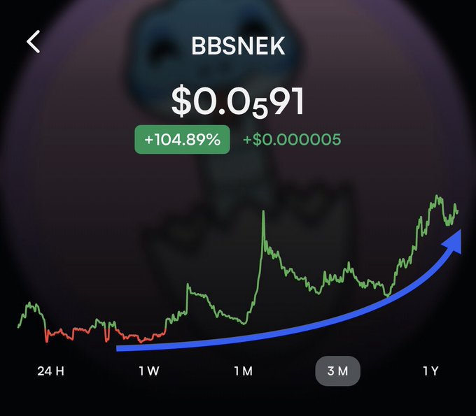 A cryptocurrency price chart showing BBSNEK at $0.0591 with a +104.83% gain, displaying price trends across 24H, 1W, 1M, 3M, and 1Y timeframes.