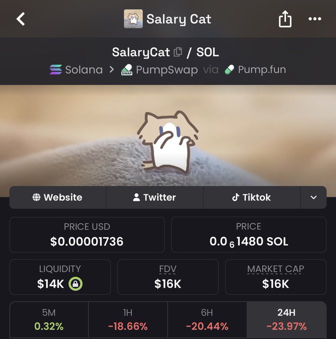 A Pump.fun memecoin page for 'Salary Cat' on Solana via PumpSwap, priced at $0.00001736 (0.0001480 SOL), showing a market cap of $16K and 24H performance of -23.97%.