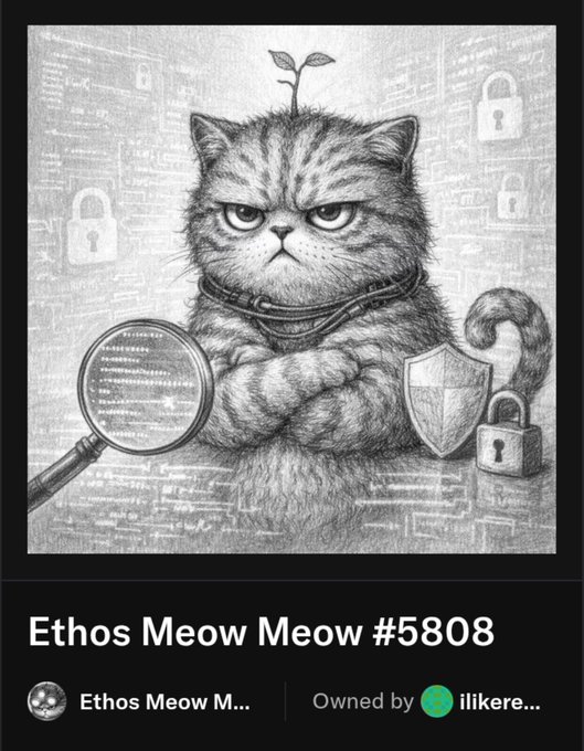 A pencil drawing of an angry cat with a sprout on its head, surrounded by security symbols like padlocks and a shield, holding a magnifying glass, with text reading 'Ethos Meow Meow #5808' and 'Owned by ilikere...'.