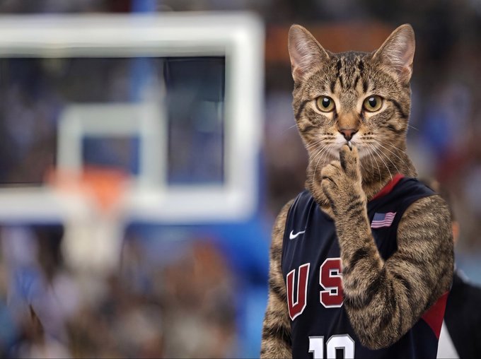 A tabby cat wearing a USA #10 basketball jersey poses thoughtfully with its paw on its chin in front of a blurred basketball hoop, fitting the meme of a delusional sports analyst. The image plays on the post's theme of being underestimated, with the cat embodying the "delusional" mindset the author claims while shilling $CATE.