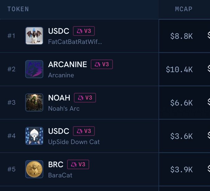 A leaderboard displays the top 5 tokens by market cap on Arc Chain's early mainnet, led by USDC variants (FatCatBatRatWif at $8.8K and UpSide Down Cat at $3.6K), Arcanine ($10.4K), Noah's Arc ($6.6K), and BaraCat ($3.9K), with all tokens marked as V3. The screenshot illustrates the nascent state of Arc Chain's ecosystem, supporting the post's note about USDC availability at a premium due to limited liquidity during this early phase.
