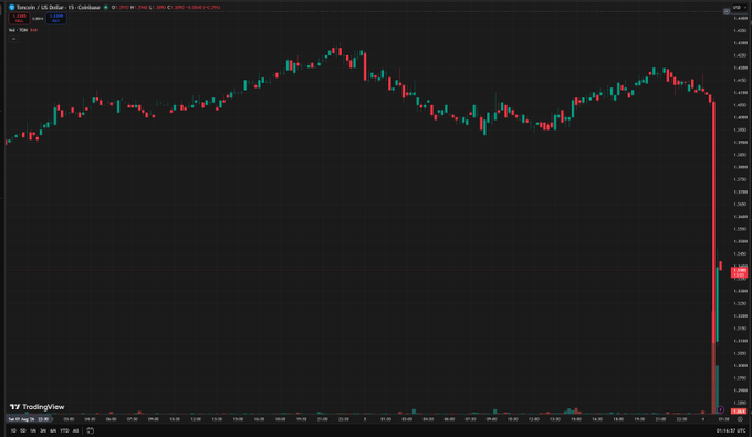 A TradingView candlestick chart showing a sudden sharp price drop at the end of the session for the ticker TONUSDT on Binance.