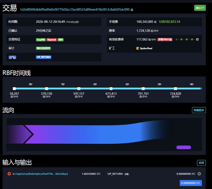 A Chinese-language cryptocurrency transaction confirmation page showing transaction details for 交易 (Transaction) with a fee of 160,343,885 sat (US$102,923.14), fee rate of 1,724.128 sat/byte, and an RBF timeline visualization with input/output details at the bottom.