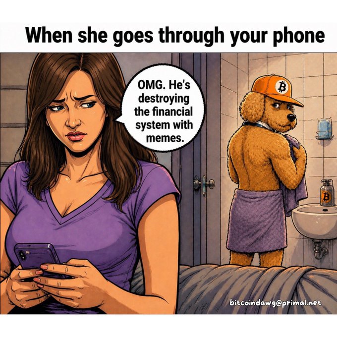 A comic-style meme titled 'When she goes through your phone' showing a woman on a phone in bed saying 'OMG. He's destroying the financial system with memes.', while a dog wearing a Bitcoin cap washes its paws in the adjacent bathroom.