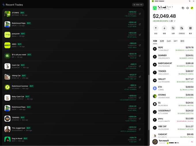 A screenshot showing a cryptocurrency wallet display with "OKX Wallet" featuring a balance of $2,049.48 (0.00%) at the top right, alongside a "Recent Trades" panel listing multiple meme token purchases including STONKS ($150.42), Robinhood Pepe ($155.42), pepecoin ($113.90), 6863 ($88.85), $1 is all you need ($132.79), Cash Cat ($89.51), Viking Cat ($129.17), Robinhood Summer ($80.12), Baby Cash Cat ($105.83), Robinhood Pepe ($142.45), TENDIES ($169.94), The Juggernaut ($160.52), and Drip In Hood ($46.70), visually representing the portfolio diversification referenced in the caption about the $2049 balance.