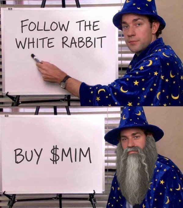 A two-panel meme showing a man dressed as a wizard writing 'FOLLOW THE WHITE RABBIT' on a whiteboard, then appearing in a fake beard with the board reading 'BUY $MIM'.