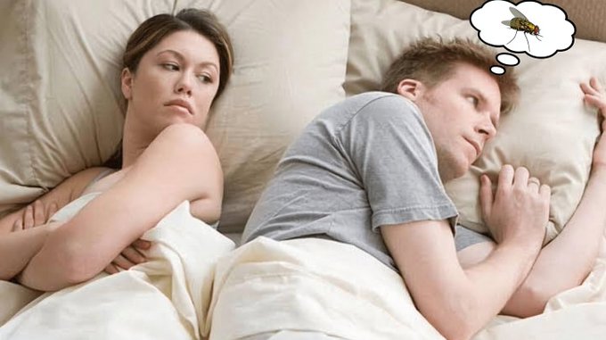 A couple lying in bed with their backs to each other; the woman looks annoyed while a thought bubble above the sleeping man shows a mosquito, humorously depicting him dreaming about swatting it in his sleep.