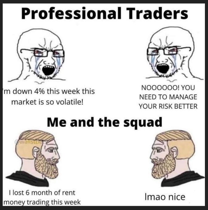 A 'Wojak' meme comparing 'Professional Traders' (crying and complaining about volatility) with 'Me and the squad' (bearded Wojaks calmly reacting to losing 6 months of rent).