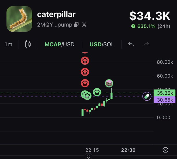 A cryptocurrency trading chart displays the "caterpillar" token (ticker 2MQY...pump) on pump.fun with a market cap of $34.3K and a 635.1% gain in 24 hours, shown on a 1-minute USD/SOL timeframe. The chart visually supports the post's butterfly lifecycle metaphor, depicting the token's upward price movement as the "caterpillar" stage before it transforms into a "cocoon" at a projected 2.7T market cap.