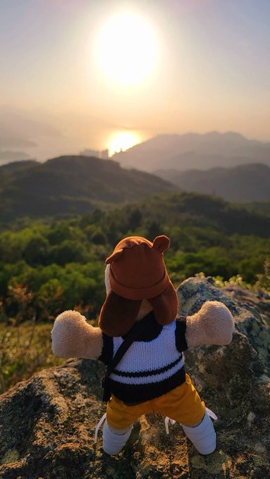 A plush dog toy wearing a striped shirt and orange cap stands on a rocky outcrop, gazing at a sunset over rolling hills.