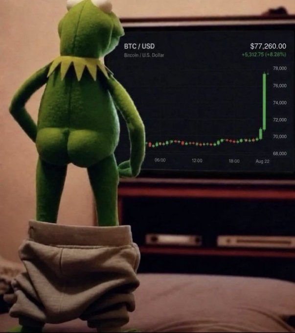 A Kermit the Frog plush toy stands with its back to the camera, looking at a TV screen displaying BTC/USD Bitcoin price chart at $77,260.00 with a +8.26% gain.