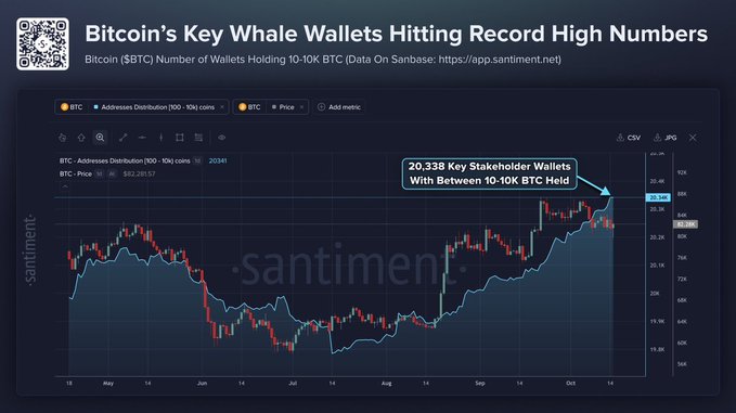 The image is a Santiment chart showing Bitcoin ($BTC) addresses holding 10–10K BTC reaching a record high of 20,338 wallets, overlaid with a Bitcoin price candlestick chart from May through October, visually illustrating the steady accumulation by key stakeholder wallets (now 20,338) even amid significant price volatility, as referenced in the accompanying post.